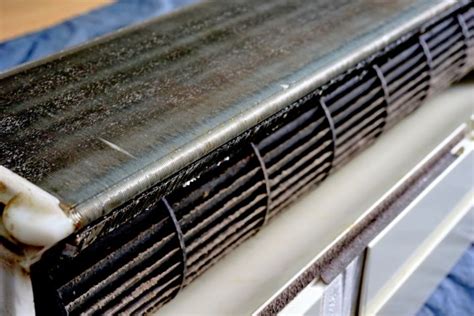 Most Common Air Conditioner Germs Things To Do About It Bg