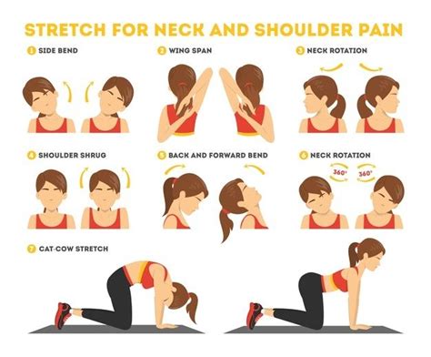 cervical neck strengthening exercises pdf - Undismayed Record Pictures ...