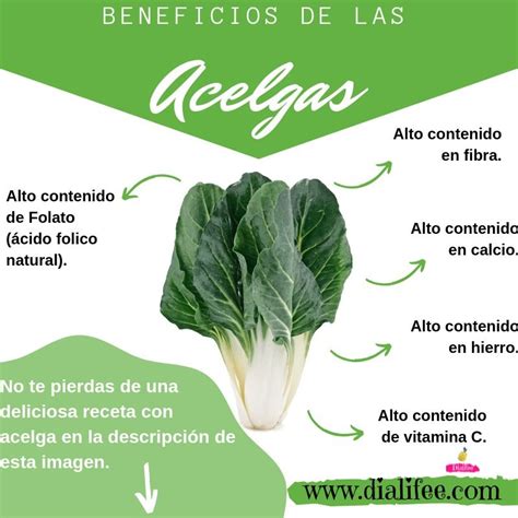 Beneficios De Las Acelgas Acelga Recetas Recetas Saludables