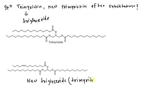 SOLVED Draw The Stucture Of The Triglyceride That Resembles