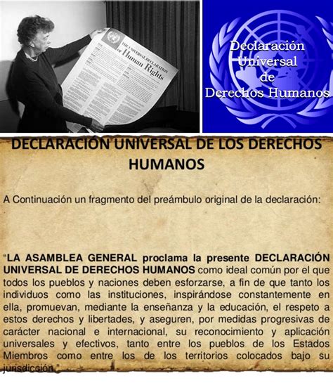 Tareas Del Colegio Declaracion Universal De Los Derechos Humanos