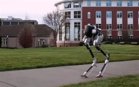 Meet Cassie The Bipedal Walking Robot Takes Inspiration From An Ostrich Rumblerum