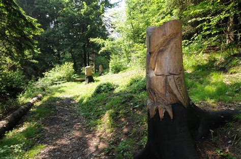 Il Bosco Degli Gnomi Vacanze Sul Lago D Iseo Hotel Conca Verde