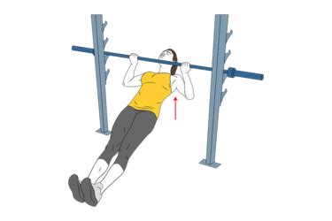 INVERTED PULL UPS SUPINATED GRIP - Exercises routines