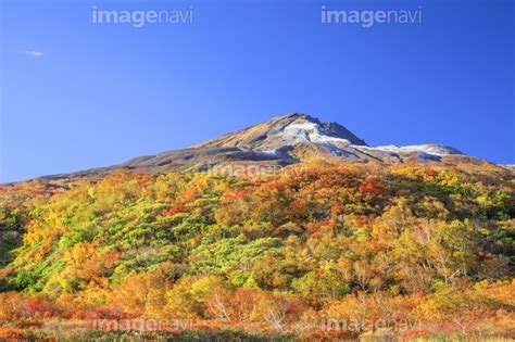 【秋田県 鳥海山の初冠雪と紅葉】の画像素材70554704 写真素材ならイメージナビ