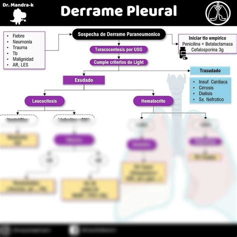 Solution Derrame Pleural Studypool