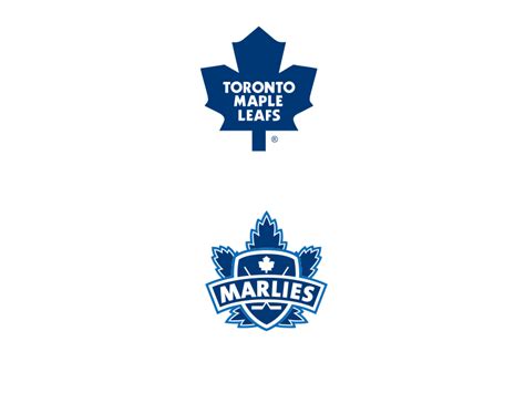 Toronto Maple Leafs Depth Chart | Syko About Goalies!