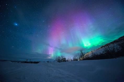 Northern Lights Strike Ladakh Skies For The First Time Ever