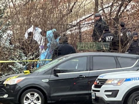 Gruesome Discovery Dead Body Found In Central Park Behind The Met