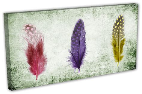 Colorful Feather Painting