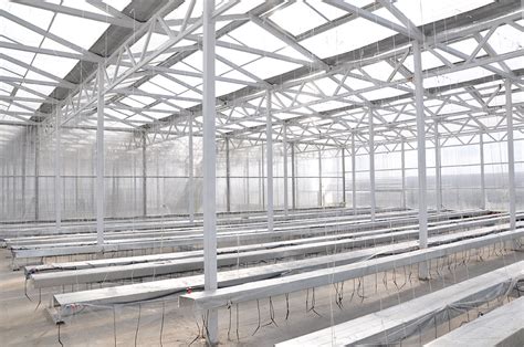 Строительство круглогодичных теплиц под ключ - ООО "Агропромышленная ...