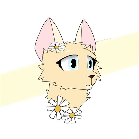 Daisy Warrior Cats