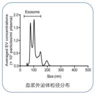 外泌体鉴定产品 华然腾创生物科技