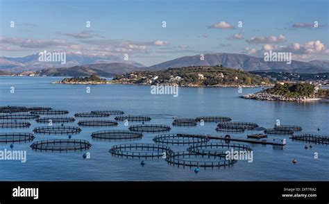 Aquaculture Cage Fish Farming Net Hi Res Stock Photography And Images