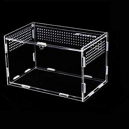 Topspitgo Schnecken Mini Terrarium Acryl Transparente Transport Box