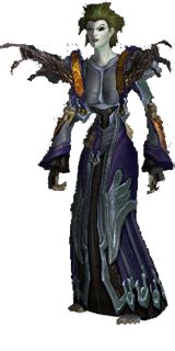 Buy Wow Cloth Gears Transmog Set Raiditem