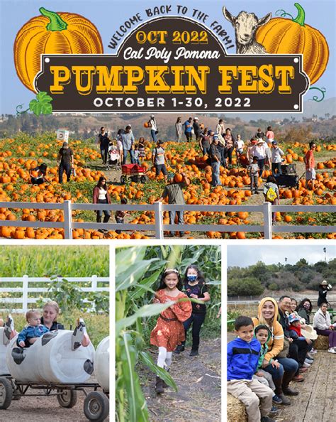 Pumpkin Fest