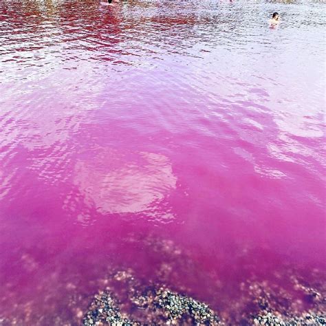 Pink Jezero U Pa Iru Hit Ecofeminizam