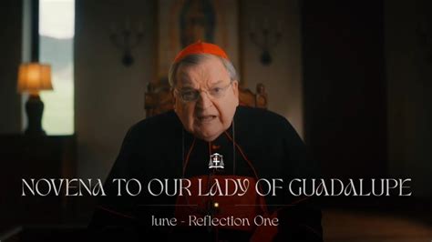 Cardinal Burke 7th Reflection Video For Our Lady Of Guadalupe Nine