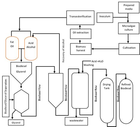 Steps Of Microalgae Biomass Production And Biodiesel Production From