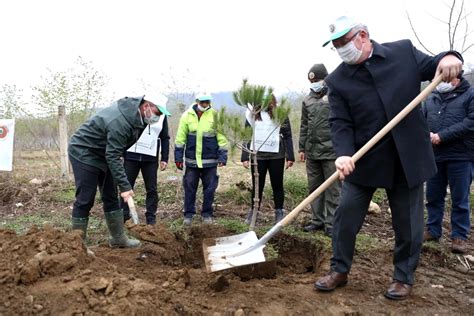 Fatsa Da Fidan Toprakla Bulu Tu Son Dakika