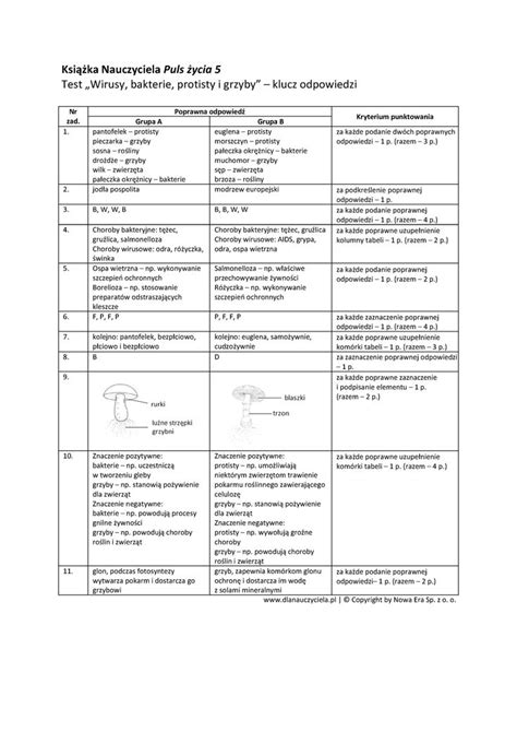 Test Wirusy Bakterie Protisty I Grzyby Klucz Odpowiedzi Ksi Ka