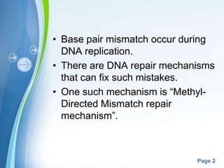 Base pair mismatch | PPT