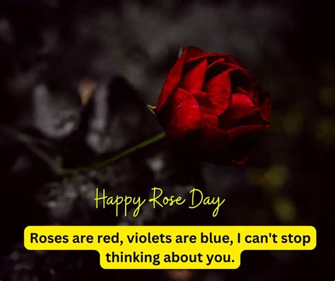 Best 101+ Rose Day Shayari in Hindi | रोज डे शायरी | Happy Rose Day ...