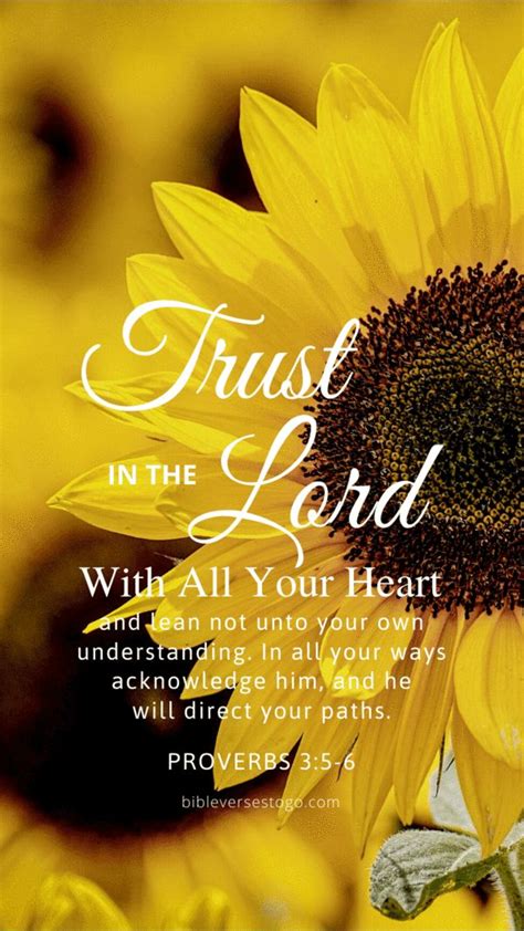 Sunflower Proverbs 35 6 Flower Bible Verse Bible Verse Background Verses Wallpaper