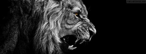 Roaring Lion Facebook Cover Photo