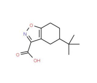 5 Tert Butyl 4 5 6 7 Tetrahydro Benzo D Isoxazole 3 Carboxylic Acid