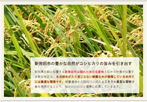 【楽天市場】【令和6年度新米】特別栽培米（減農薬・減化学肥料）新潟産コシヒカリ 精米3kg なかの牧場【特別栽培米（減農薬・減化学肥料）新潟産