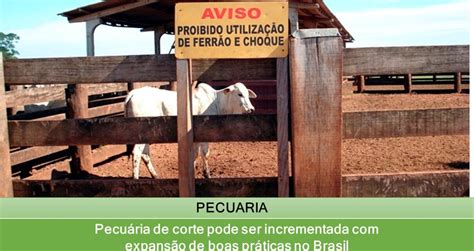 Pecu Ria De Corte Pode Ser Incrementada Expans O De Boas Pr Ticas