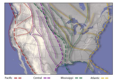 Us Fall Migration Flyways The Backyard Naturalist