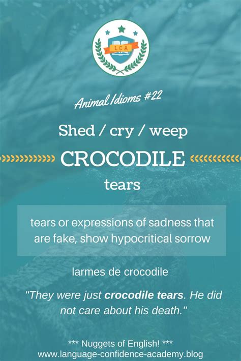 Discover The Meaning Of Crocodile Tears