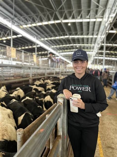 Mortlake Cattle Sale Shows Promising Results Despite Small Yarding