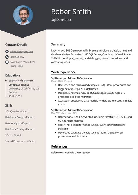 Sql Developer Resume Examples Template And 20 Tips