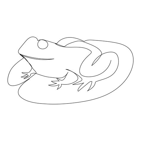 Vector frog line art drawing illustration 41177435 Vector Art at Vecteezy