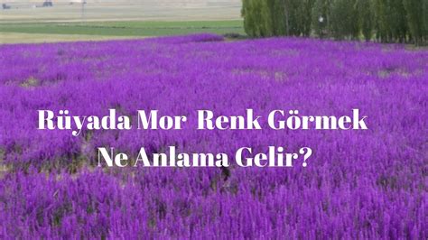 Rüyada Mor Renk Görmek Ne Anlama Gelir YouTube