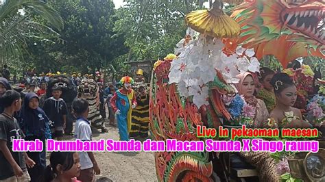 Kirab Drumband Macan Sunda X Singo Raung Live In Pekaoman Maesan Youtube