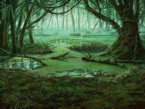 Download Nature Swamp Image