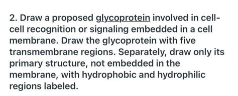 2. Draw a proposed glycoprotein involved in cell- ce... - Biology