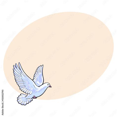 Free Flying White Dove Sketch Style Vector Illustration Isolated On