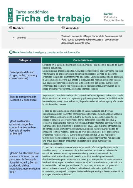 Ficha De Trabajo Mapa Nacional De Ecosistemas Del Per Alexandra