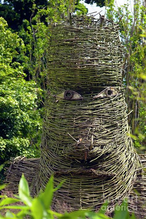 Woven Figurative Sculpture Photograph By Dr Keith Wheeler Science Photo