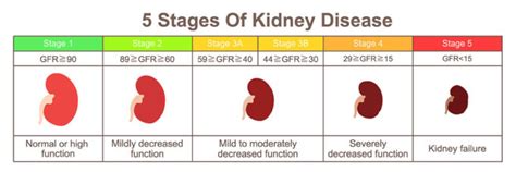 Kidney Failure in Dogs: The Ultimate Science-based Guide