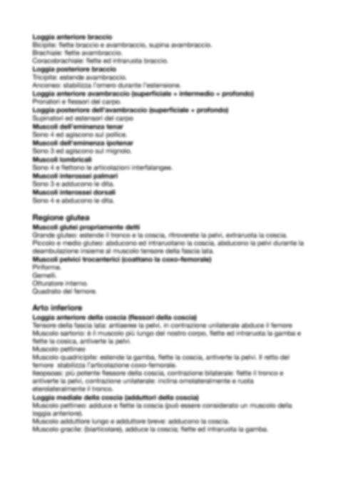 Solution Ripasso Muscoli Studypool