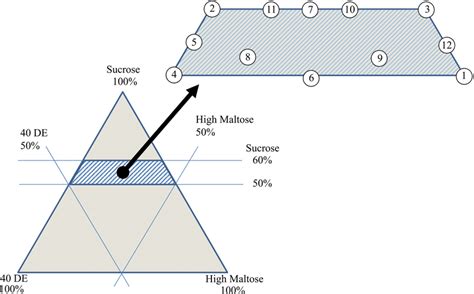 Definition Of The Feasible Region According To The Restrictions Of The Download Scientific