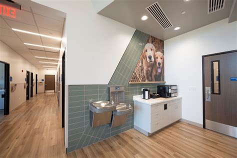 Forest South Animal Hospital