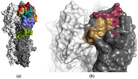 Viruses Free Full Text Structural Consequences Of Antigenic